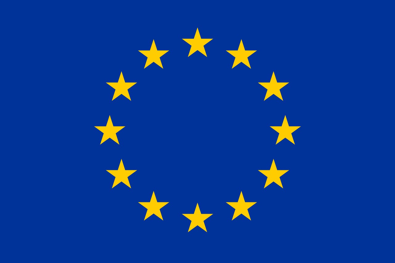Bandiera dell’Unione Europea